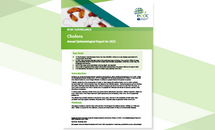 Cover of the report: "Cholera - Annual Epidemiological report 2022"
